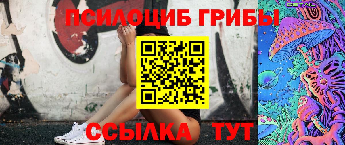 Канаш  Галлюциногенные грибы Psilocybine cubensis  Галлюциногенные грибы мухоморы  что такое   Вход с VPN 
