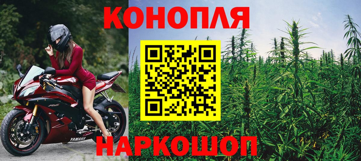 Марихуана план  Марихуана сатива  Канабис OG Kush  Бошки Шишки семена  Канаш  Вход с VPN 